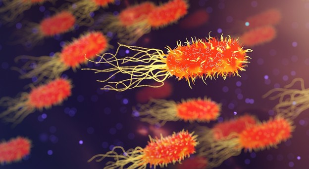 Otkriven potpuno novi način uništavanja bakterija otpornih na antibiotike