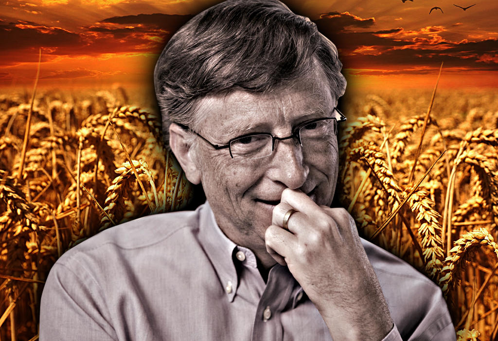 Bill Gates zna opet nešto što mi ne znamo! – Cijene žita strelovito rastu