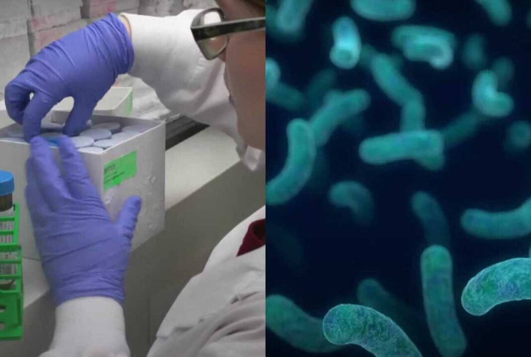 Stručnjaci upozoravaju na bizaran trend: Ljudi misle da će se odvratnim putem izliječiti