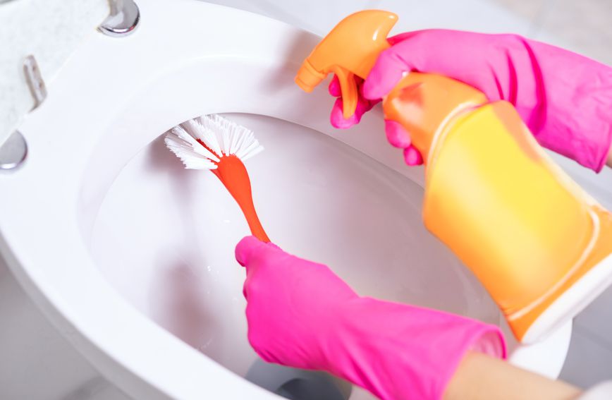 Znate li koliko često zaista morate čistiti WC školjku?