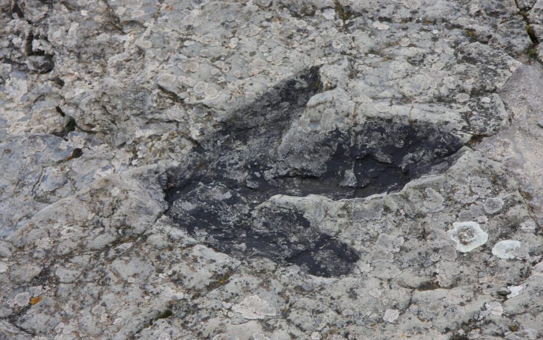 Znanstvenici identificirali novu vrstu dinosaura prema otiscima stopala u Brazilu