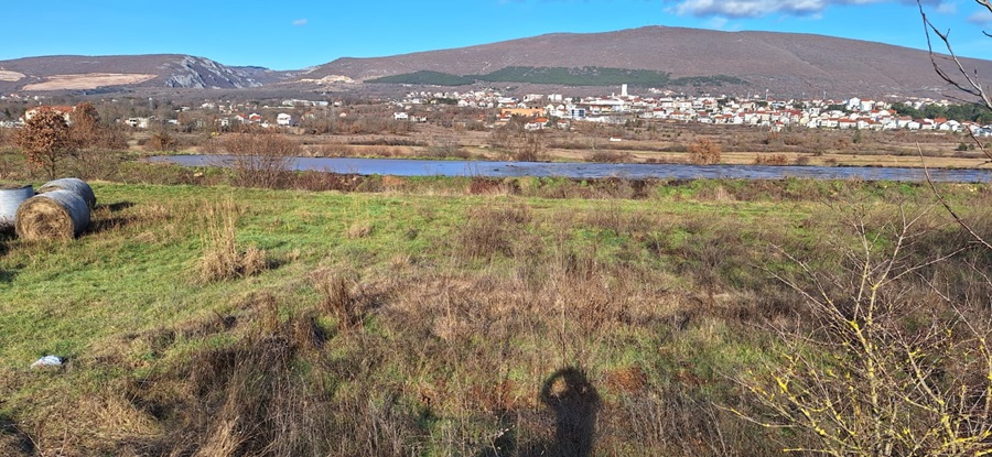 Nezakonitosti oko farme muznih krava Marena u Posušju – OTVORENO PISMO JAVNOSTI I NADLEŽNIM INSTITUCIJAMA