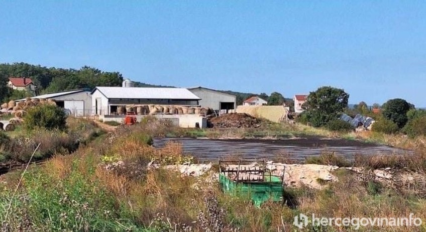 Dok se vlasnici farme od milijun eura u Posušju hvale uvjetima za krave muzare, mještani se guše smradom otpadnih voda i nje!