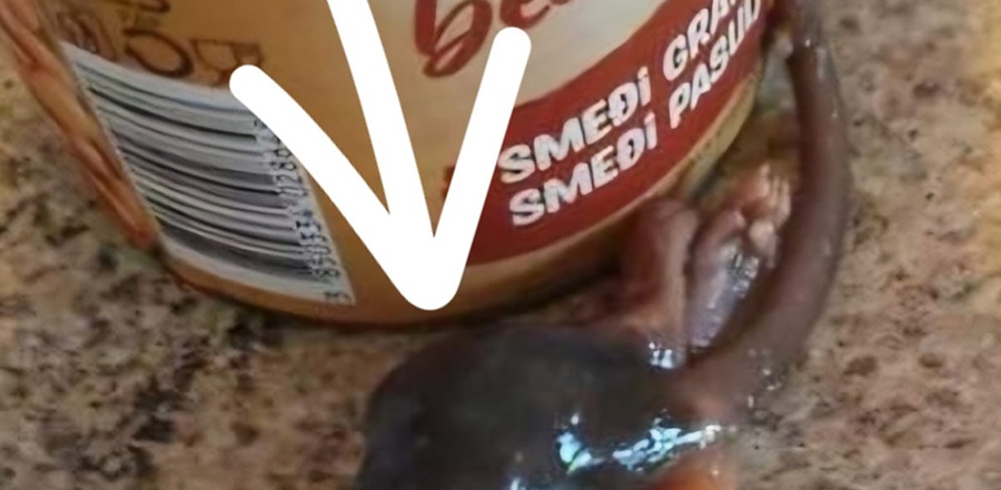 MA VEĆ SE TO POJELO! KPlus kvaliteta konzerviranog graha sa štakorom isporučena u BiH