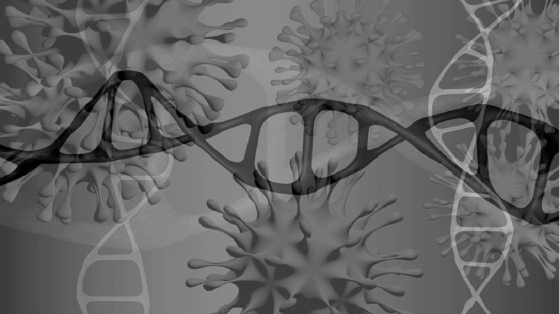 Tim s MIT-ja: Koronavirus može mijenjati DNA čovjeka. Kritičari: Nije dokazano