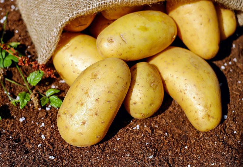 Ove godine krumpir bi se morao prodavati po dvije marke kako bi poljoprivrednici bili na nuli