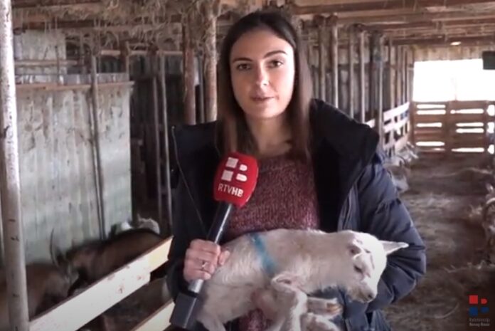 VIDEO: Kozarstvo – potencijal Hercegovine