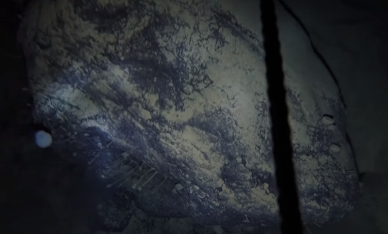 Biolozi izbušili 900 metara duboku rupu u antarktičkom ledu i ostali u čudu pronađenim organizmima
