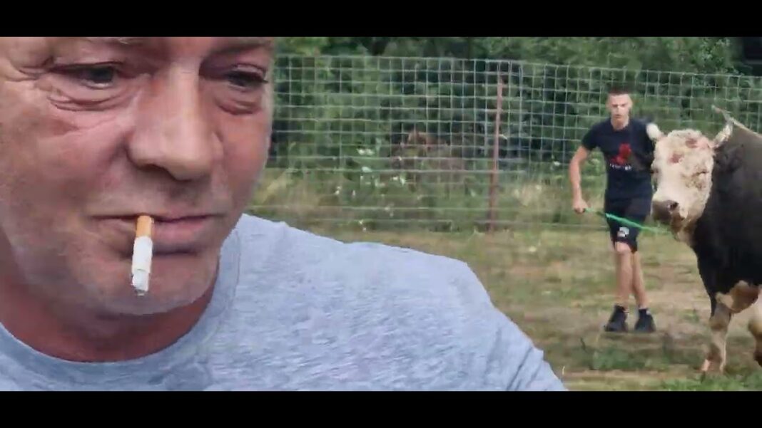 VIDEO: Bik u Posušju “osjetio slobodu” gledatelji strah!