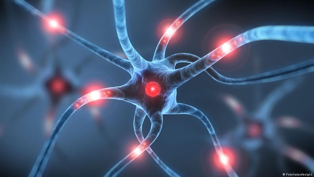 Velik uspjeh hrvatskih znanstvenika: Predstavili sklopove koji oponašaju rad neurona u mozgu