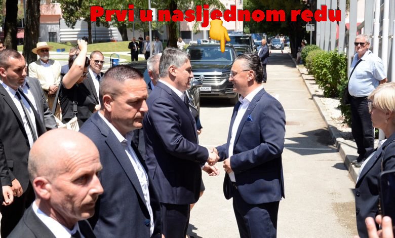 Čitaj između redova… Mačke, Miševi, Fajteri, Zoki i KUD-Sveučilištarac