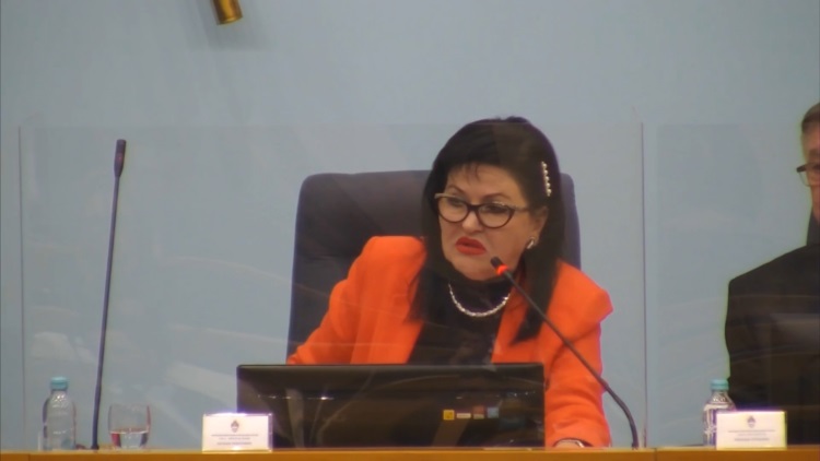 UZNEMIRUJUĆ SADRŽAJ: Bolesno ponašanje predsjedavajuće Narodne skupštine RS-a Nataše Radulović