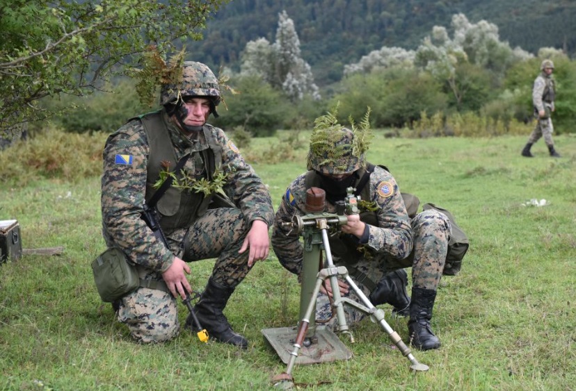 BiH je nije spremna ako nas napadnu bjesne lisice – Imamo četiri ispravna tenka i sedam helikoptera