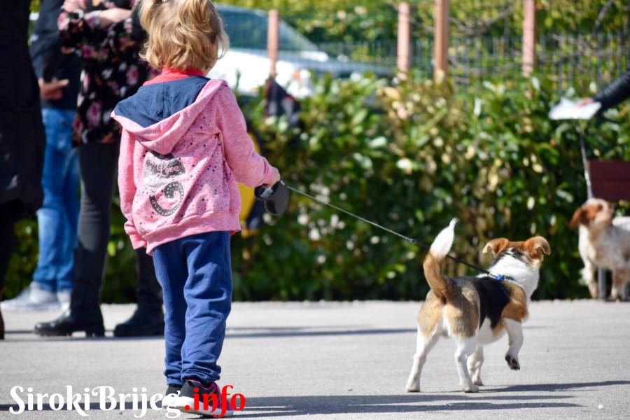 NAJAVA: Revija svih pasmina pasa u Širokom Brijegu 20. ožujka