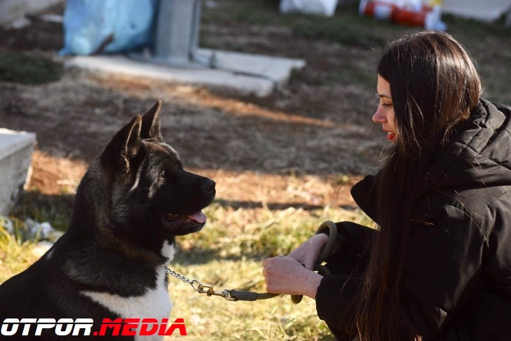 Znakovi pomoću kojih životinje pokazuju da su na kraju svog života