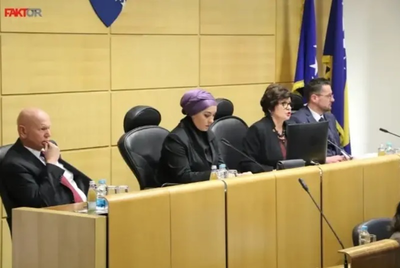 HDZ-u i Trojki je ovo logično: Na čelu Obora za braniteljska pitanja pedijatrica, predsjednik Ustavne komisije liječnik