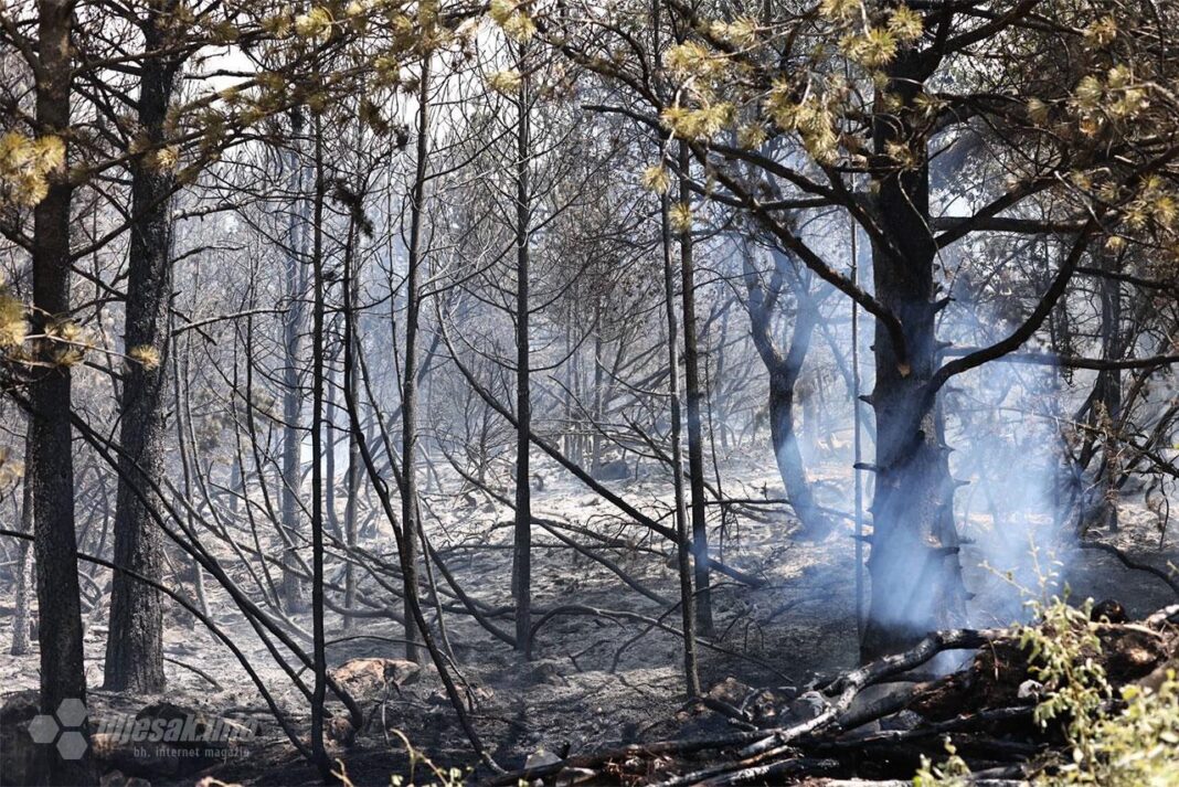 Nakon 12 dana borbe, požar na Blidinju je ugašen!