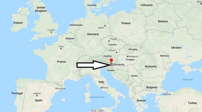 SREĆA PROĐE SE ZA PET MINUTA – Slovenija zabranila točenje goriva vozačima koji nemaju covid-potvrdu