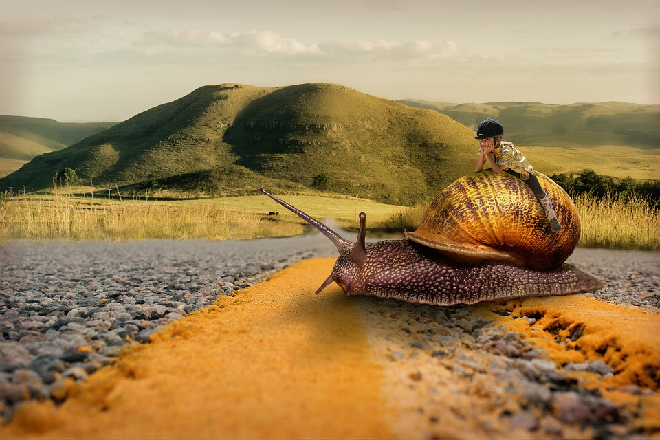 Znači li spora vožnja nužno i uštedu goriva?
