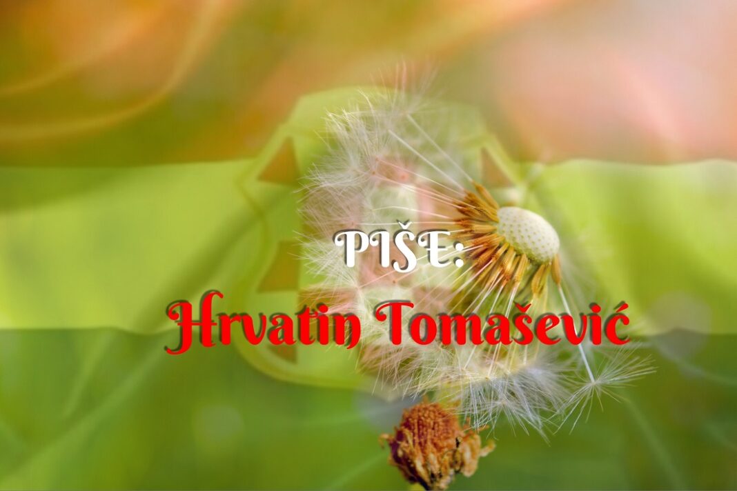 VIDLJIVO i NEVIDLJIVO i SIMBOLIČNO… i hamziga hop DOMOLJUBLJE!