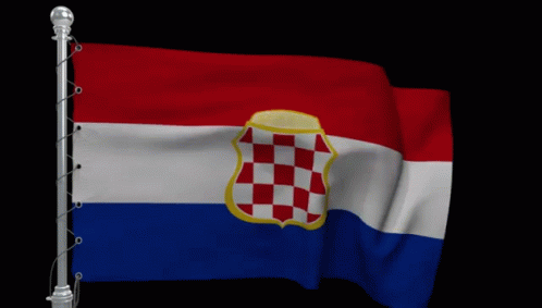 HRVATIN TOMAŠEVIĆ: Lider jači od naroda… U P O M O Ć !