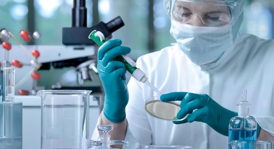 Stiže bakterija koja pomaže pri uništavanju tumora