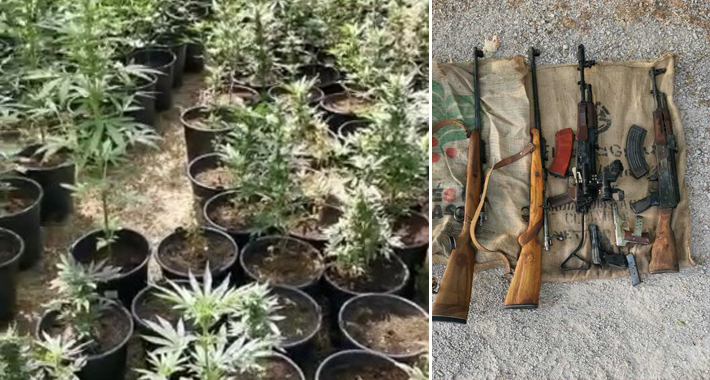 Velika zapljena GP u Grudama: 330 stabljike marihuane, veća količina speeda, oružja…, a za vlasnikom se traga!