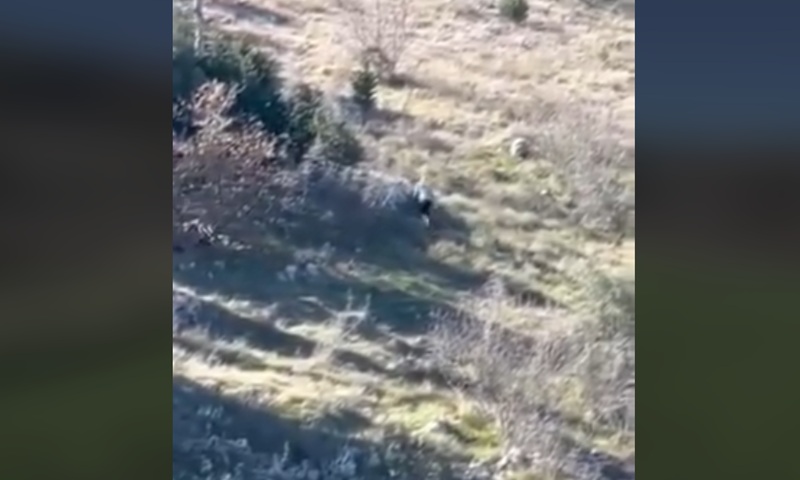 VIDEO: Lov po brdima Čapljine rezultirao uhićenjem albanca. Sproveden u PU Ljubuški!