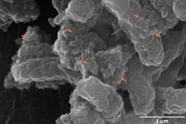 Zabrinjavajuća kombinacija: Evo što se događa kad nanoplastika dođe u kontakt s bakterijom E. coli